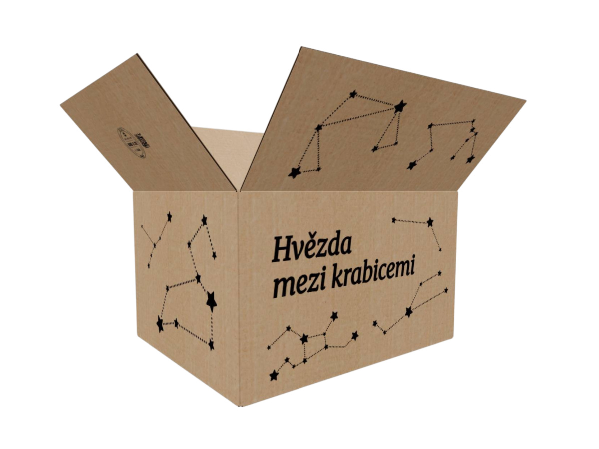 E-shop 100 ks - Kartonová krabice 500x400x300 3VVL klopová, digitální tisk