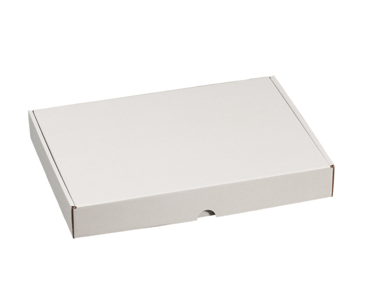 E-shop 25 ks - Krabice poštovní plochá 160x113x42, bílá