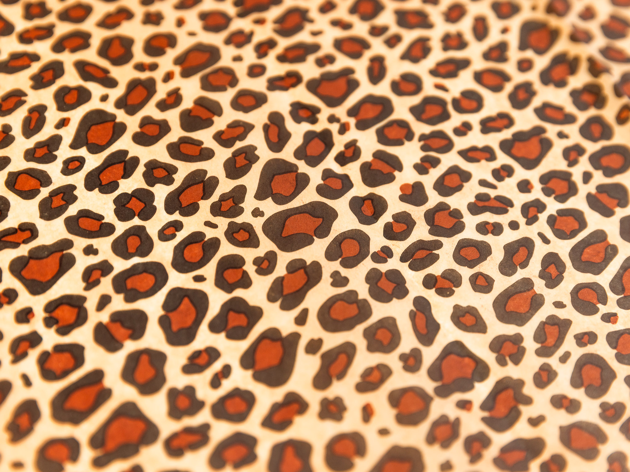 E-shop 200 ks - Papír hedvábný 500x760 Leopard (200ks)