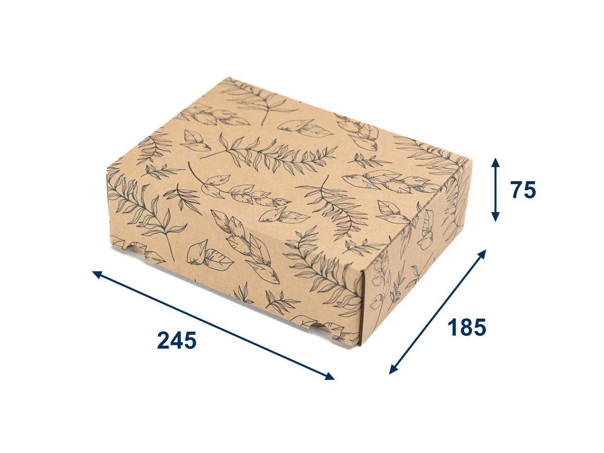 Dárková krabice s potiskem listů 245x185x75 mm - 001