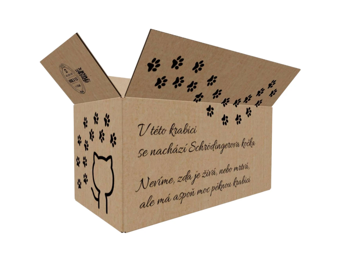 Kartonová krabice 400x200x200 3VVL klopová, digitální tisk - 001