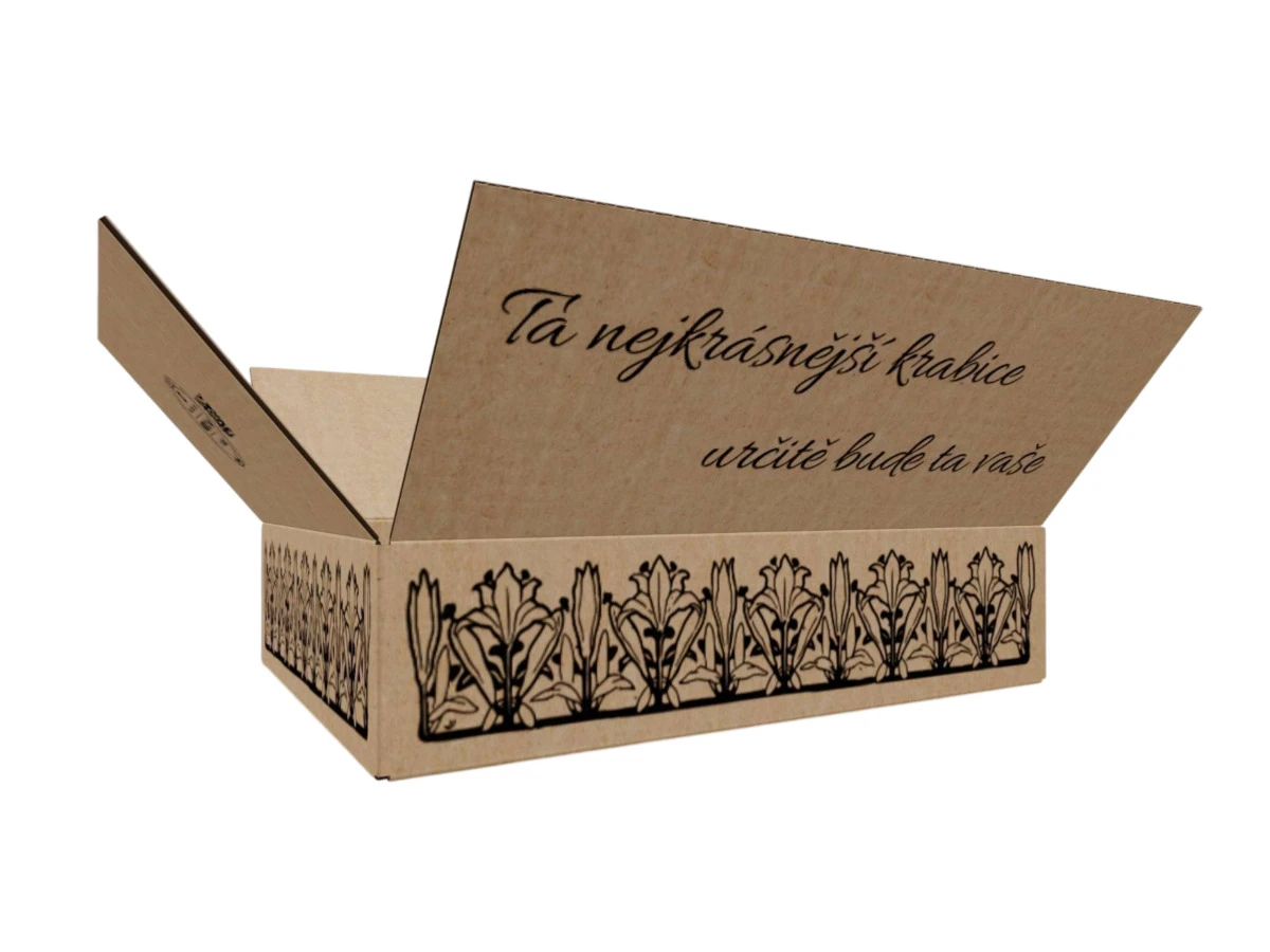 Kartonová krabice 400x300x100 3VVL klopová, digitální tisk - 001