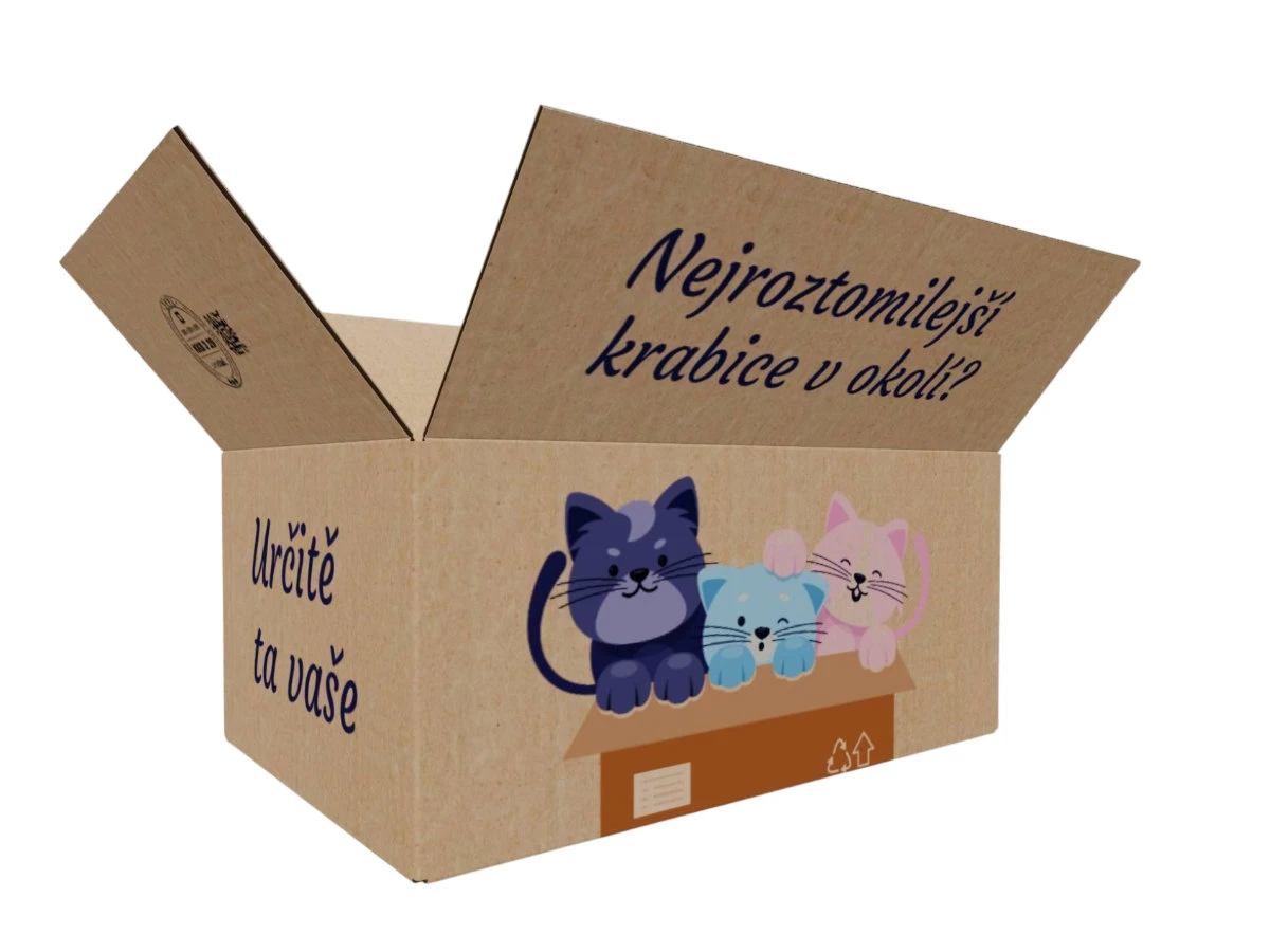 Kartonová krabice 500x300x200 3VVL klopová, digitální tisk - 001