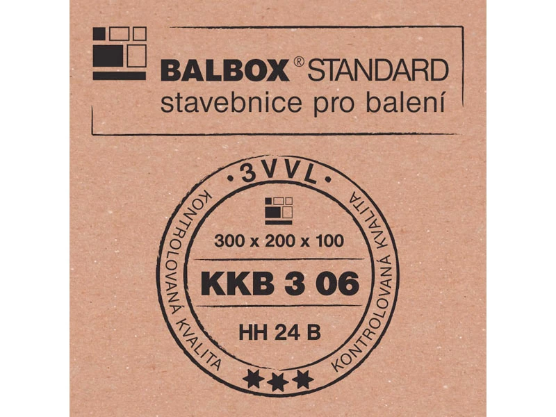 Kartonová krabice 300x200x100 3VVL klopová - 003