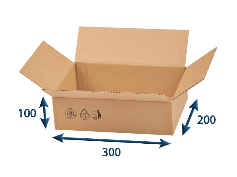 Kartonová krabice 300x200x100 3VVL klopová - 001