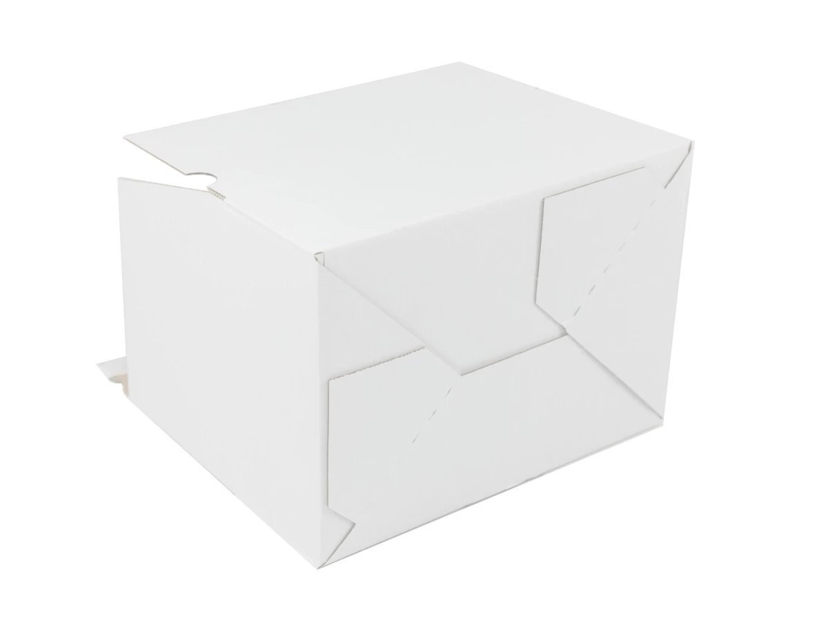 Krabice SPEEDBOX 302x198x115 3VVL 1LP bílá - 003