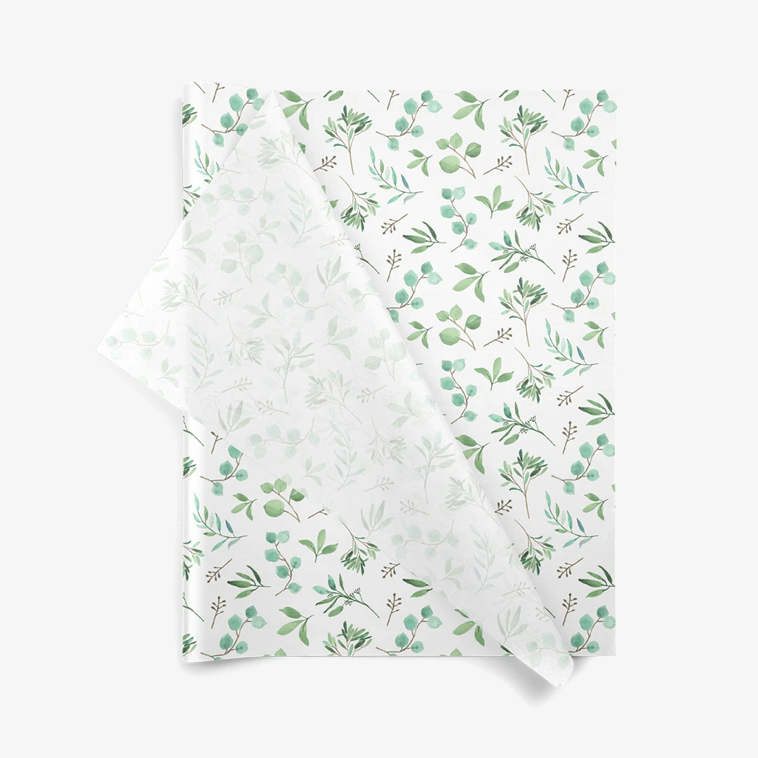 Papír hedvábný 500x760 Eukalyptus (200ks) - 001