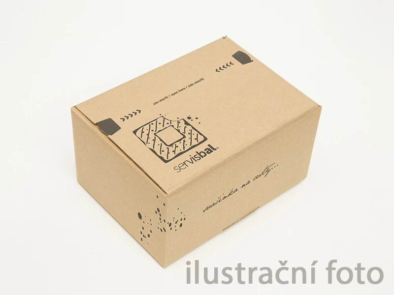 Rychlouzavírací krabice SPEEDBOX 300x200x150, TISK - 003