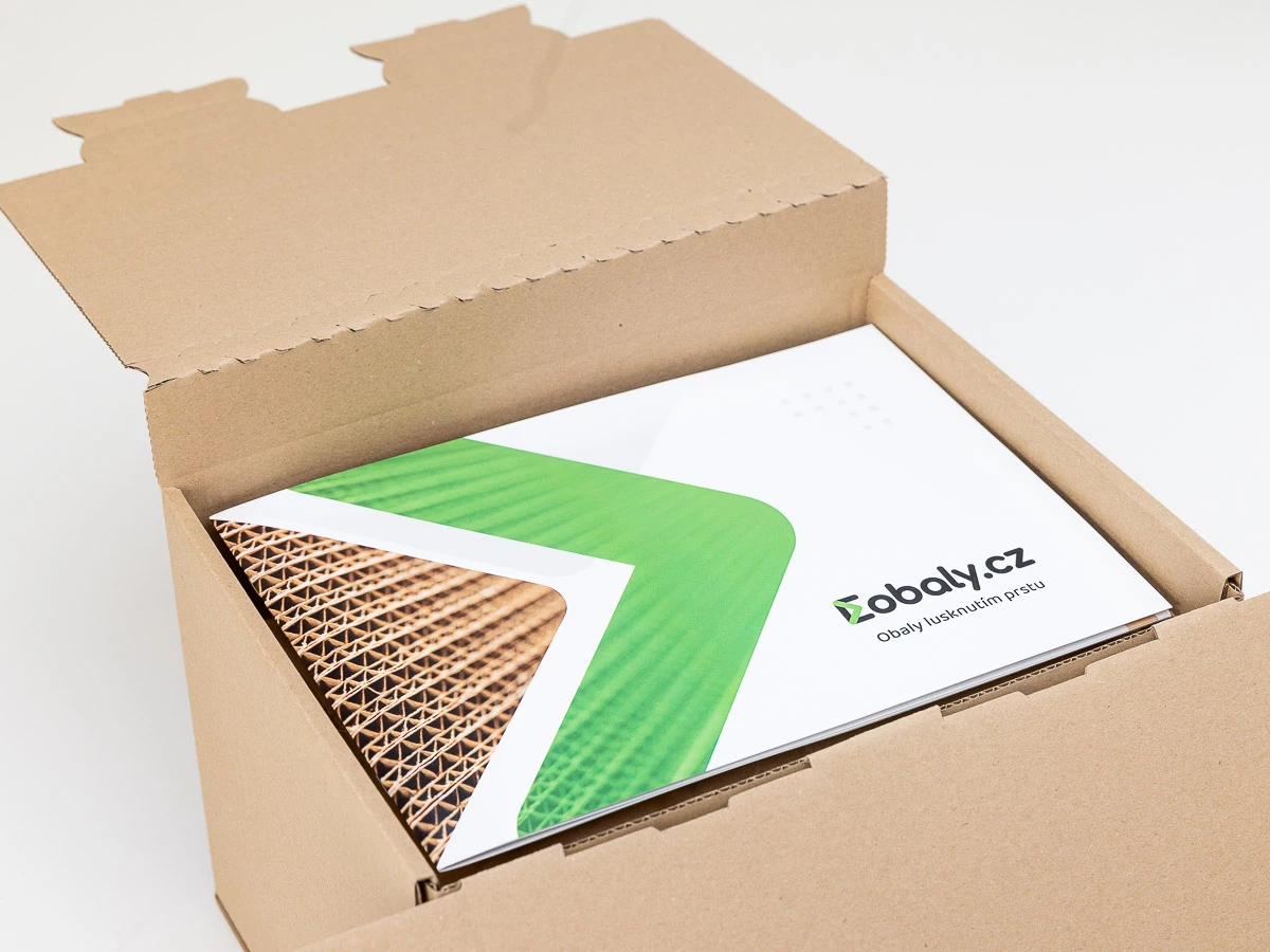 Zásilková krabice EKOBOX 300x235x205 3VVL - 002