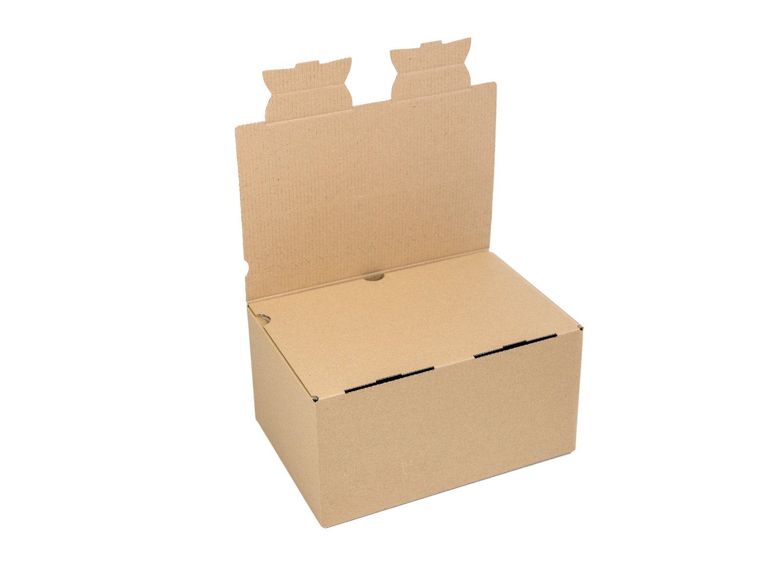 10 ks - Zásilková krabice EKOBOX 287x196x155 3VVL